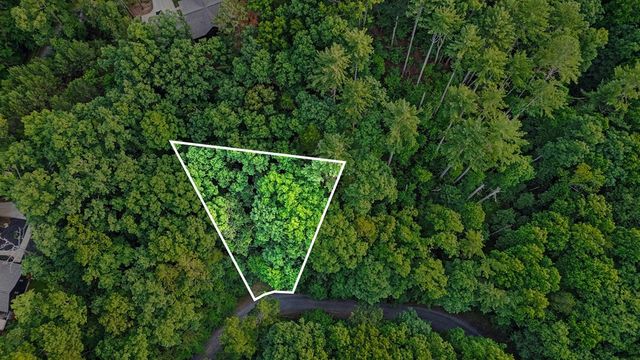 148 Alcan Way, Ellijay, GA 30540