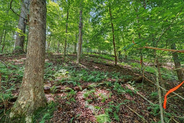 148 Alcan Way, Ellijay, GA 30540