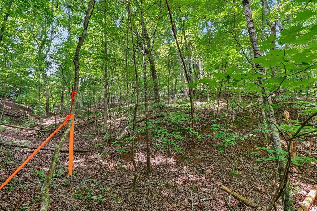 148 Alcan Way, Ellijay, GA 30540