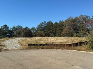 Lot 11 Lindsey Lane, Blue Ridge, GA 30513