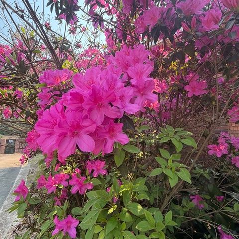 3408 Cambridge Drive, Columbus, GA 31906