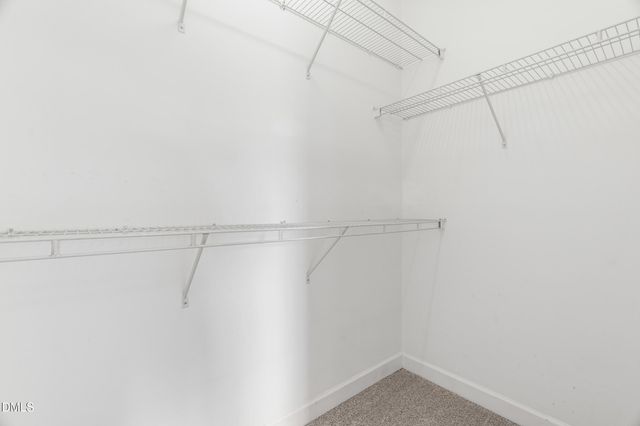 744 Seastone Street, Raleigh, NC 27603