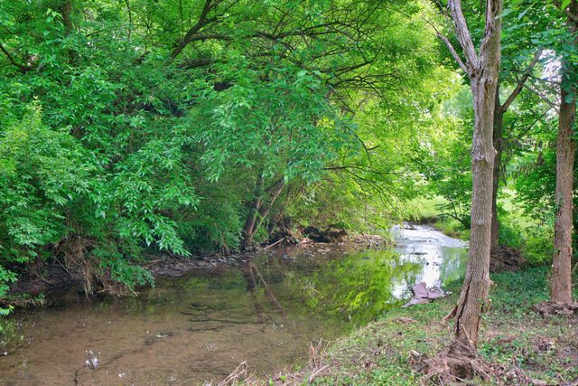 117 Creekside Drive, Danville, KY 40422