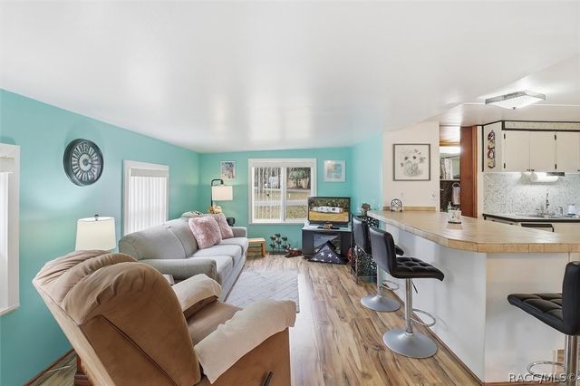 1161 N Beach Park Drive, Inverness, FL 34453