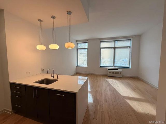 2145 44th Drive 1D, Long Island City, NY 11101