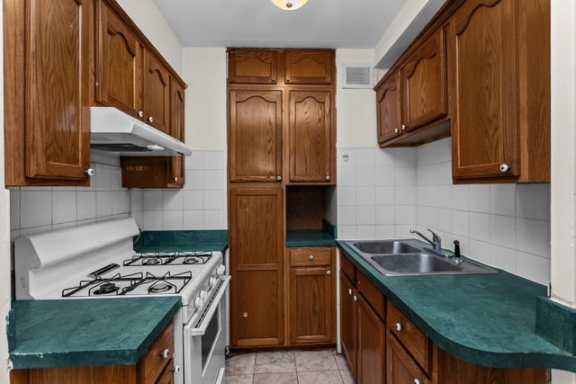 7204 Oak Avenue 1NW, River Forest, IL 60305