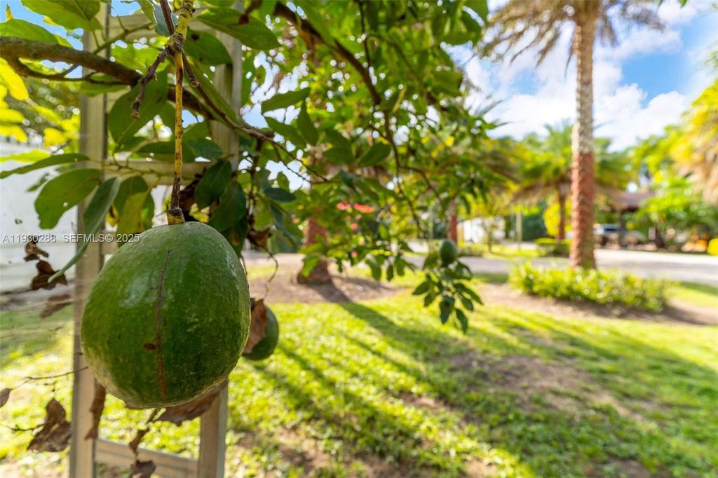 Image 27 of property listing at 16020 SW 208th Ave, Miami, FL 33187