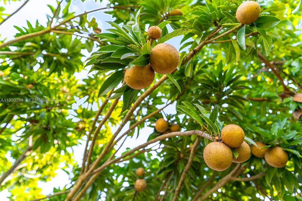 Image 29 of property listing at 16020 SW 208th Ave, Miami, FL 33187