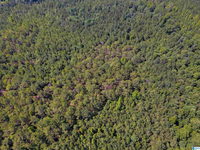 2164 COUNTY ROAD 350, Clanton, AL 35045