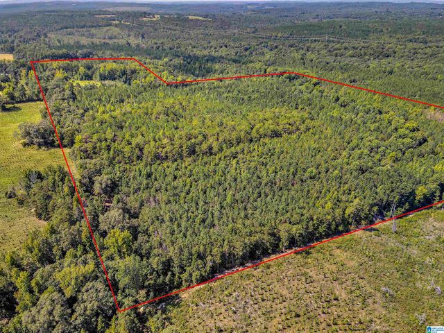 2164 COUNTY ROAD 350, Clanton, AL 35045