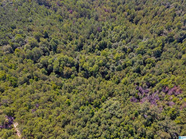 2164 COUNTY ROAD 350, Clanton, AL 35045