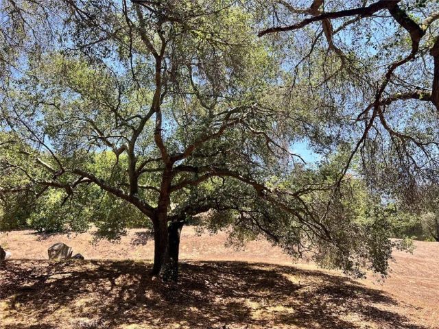 1832 Camino Rainbow, Fallbrook, CA 92028