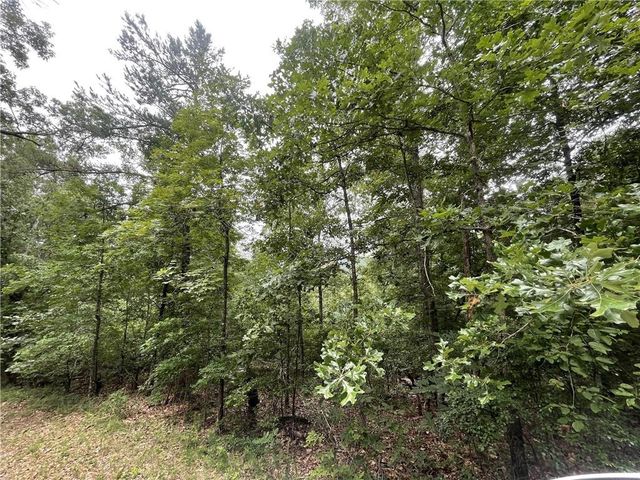 933 Apex Court, Ranger, GA 30734