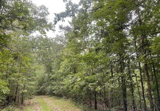 933 Apex Court, Ranger, GA 30734