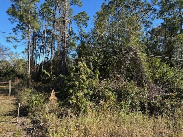 13636 SULKY DRIVE, Punta Gorda, FL 33955