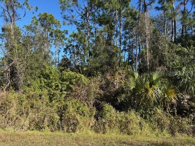 13636 SULKY DRIVE, Punta Gorda, FL 33955