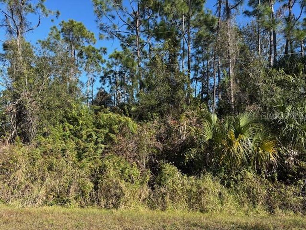 Image 3 of property listing at 13636 SULKY DRIVE, Punta Gorda, FL 33955