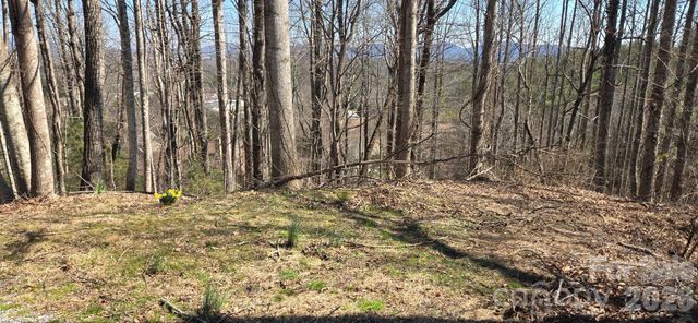 85 Shinnecock Drive 7, Mills River, NC 28759