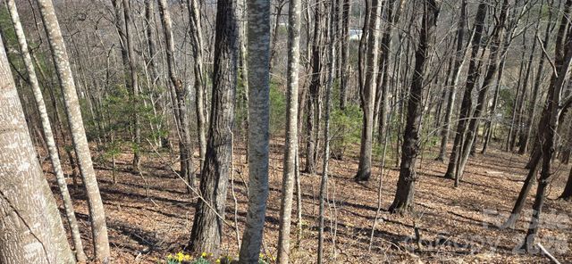 85 Shinnecock Drive 7, Mills River, NC 28759