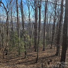 85 Shinnecock Drive 7, Mills River, NC 28759