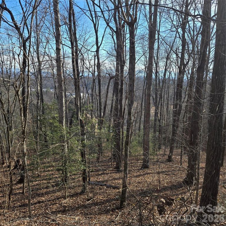 85 Shinnecock Drive 7, Mills River, NC 28759