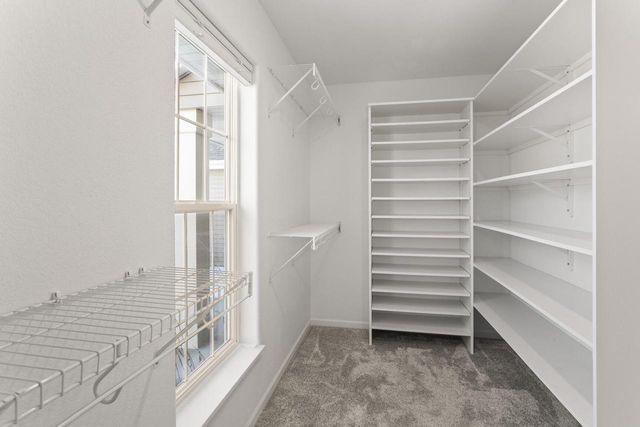 W207N17393 Parkview DRIVE, Jackson, WI 53037