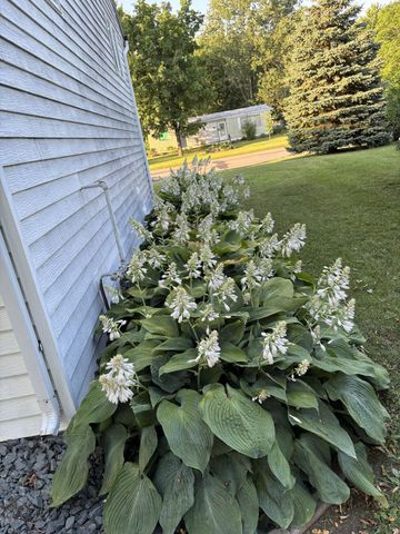 818 S 10th Street, Lake City, MN 55041