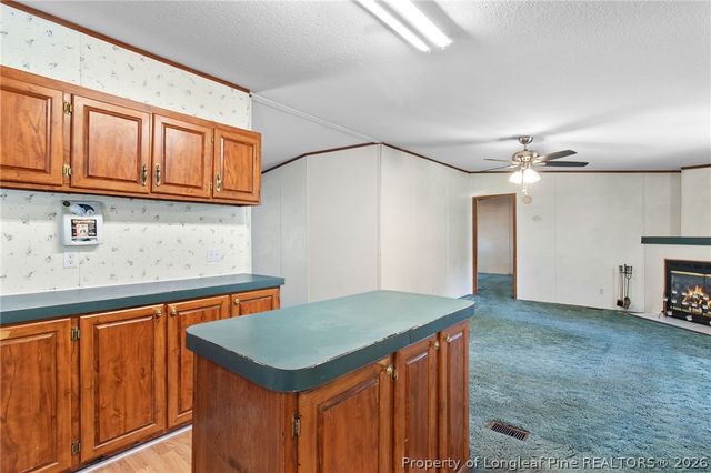 863 Black Road, Cameron, NC 28326