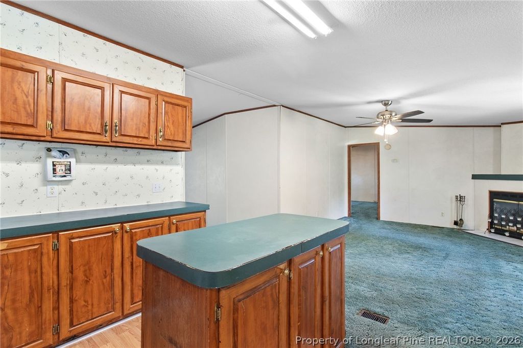 863 Black Road, Cameron, NC 28326 — photo 10
