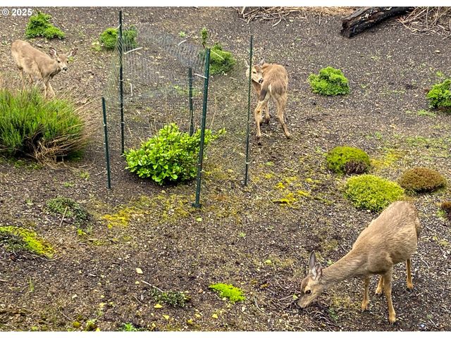 2600 Ne 33RD St, Lincoln City, OR 97367