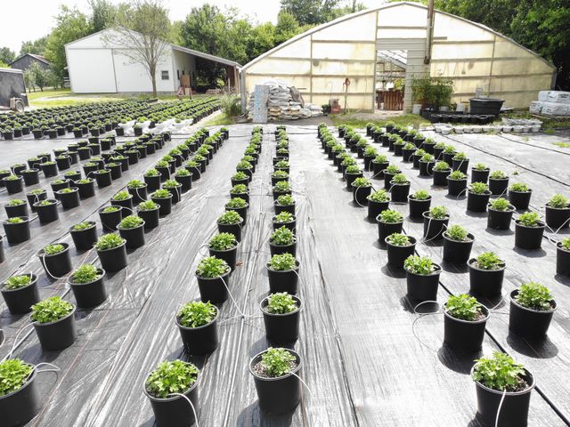 5183 Kentucky 36, Cynthiana, KY 41031