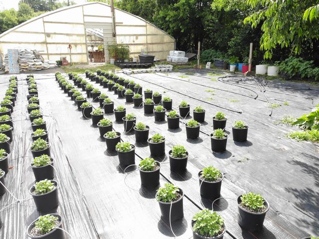 5183 Kentucky 36, Cynthiana, KY 41031