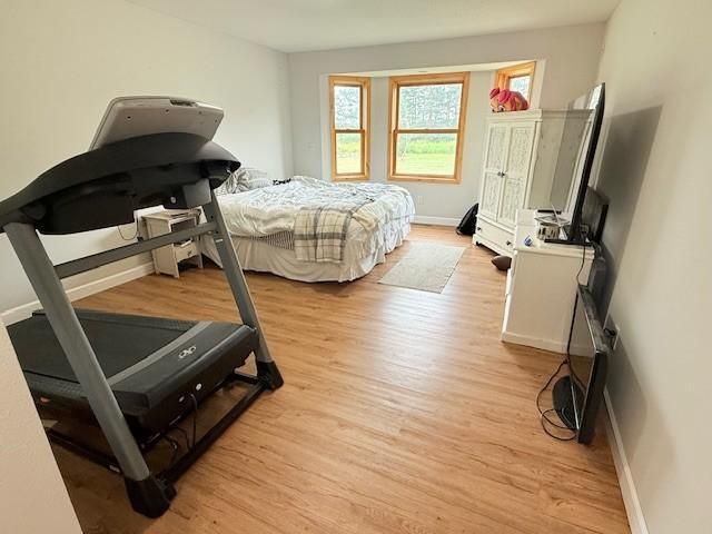 24651 Beltrami Line Road, Bemidji, MN 56601