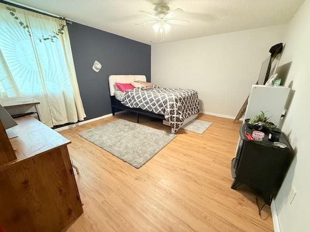 24651 Beltrami Line Road, Bemidji, MN 56601