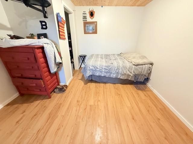 24651 Beltrami Line Road, Bemidji, MN 56601