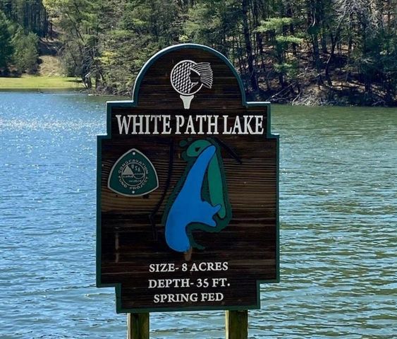 382 Pocaset Drive, Ellijay, GA 30540