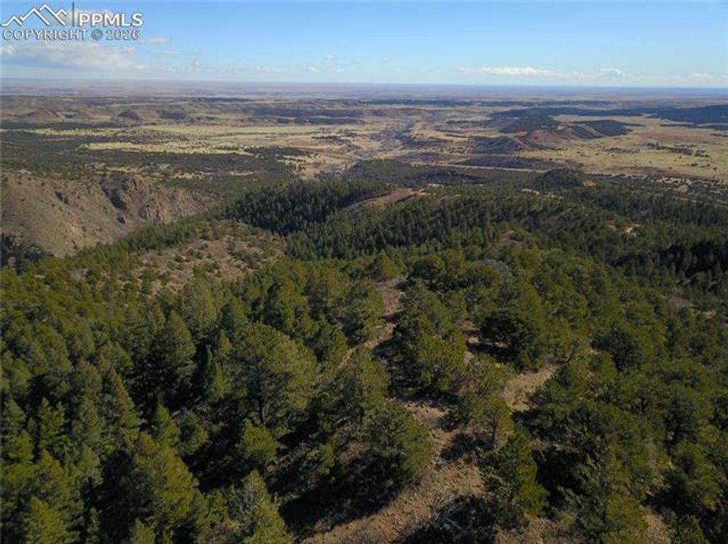 3735 Big Spruce Heights, Colorado Springs, CO 80926 — photo 4