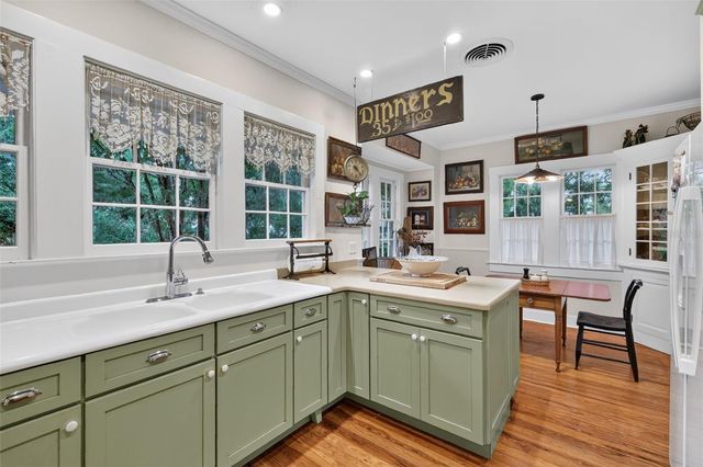 1046 N MCDONALD STREET, Mount Dora, FL 32757