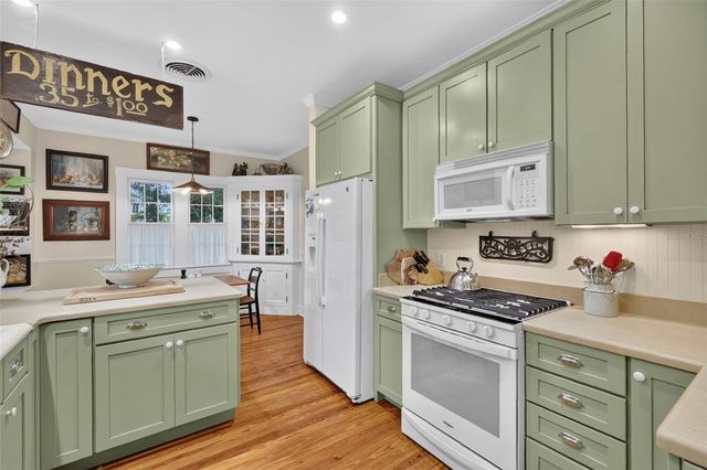1046 N MCDONALD STREET, Mount Dora, FL 32757