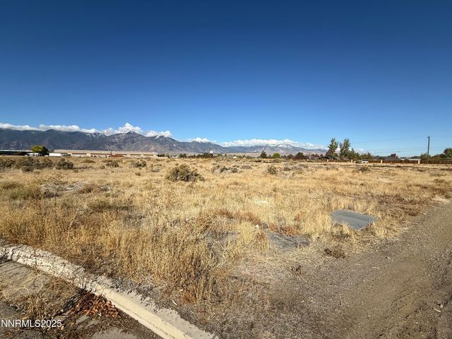 2588 Precision Drive, Minden, NV 89423