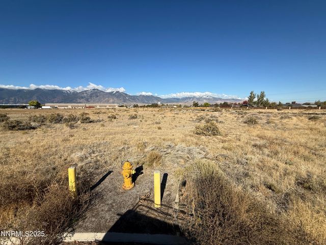 2588 Precision Drive, Minden, NV 89423