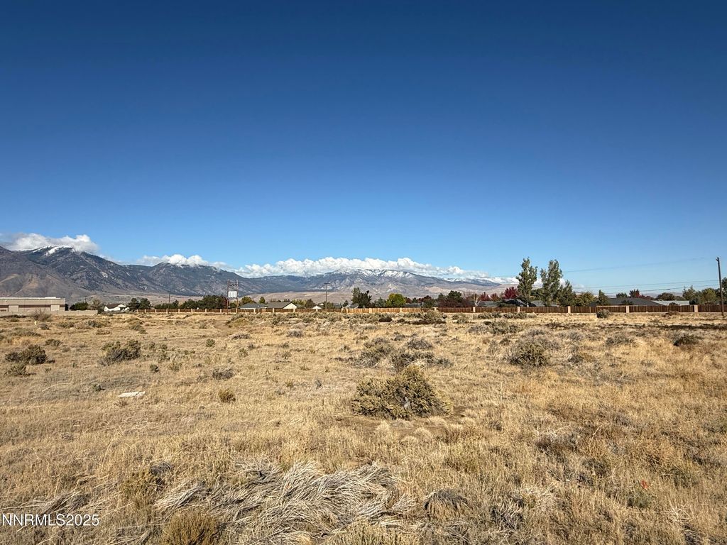2588 Precision Drive, Minden, NV 89423