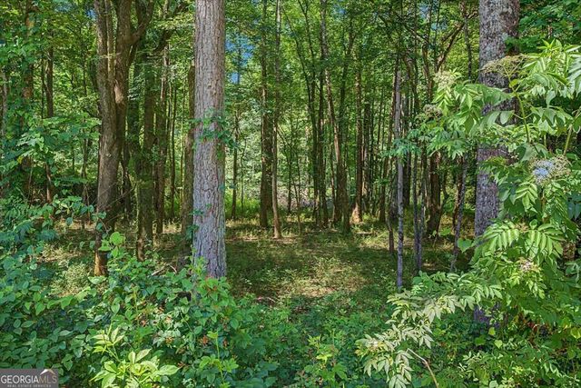1381 Star Point Road, Carrollton, GA 30116