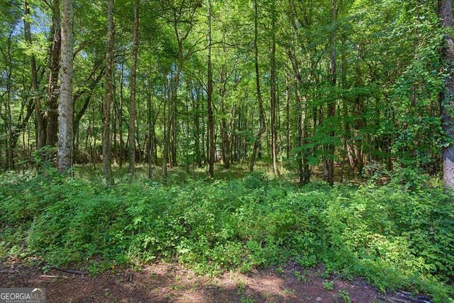 1381 Star Point Road, Carrollton, GA 30116