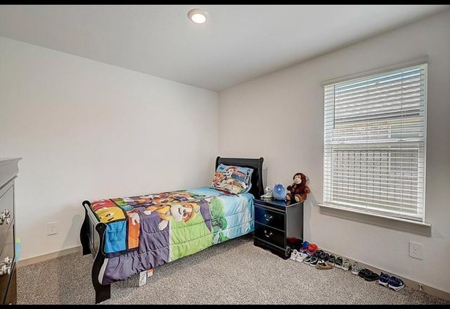 1246 Truckee River Drive, Rosharon, TX 77583