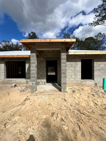 3 GUAVA PASS RUN, Ocklawaha, FL 32179