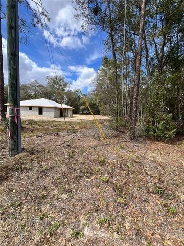 3 GUAVA PASS RUN, Ocklawaha, FL 32179