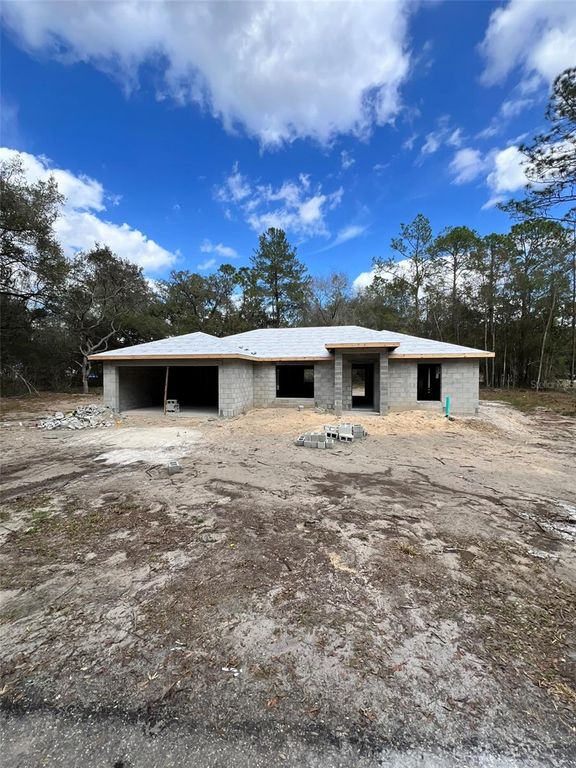 3 GUAVA PASS RUN, Ocklawaha, FL 32179