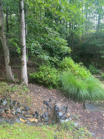 27 Mountain Creek Hollow Drive, Talking Rock, GA 30175