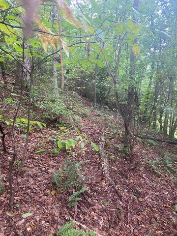 27 Mountain Creek Hollow Drive, Talking Rock, GA 30175